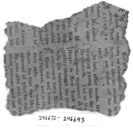 Capromeryx minor