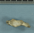click for enlargement