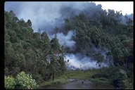 Tavy fire, slash and burn forest clearing, Anjiro, Madagascar