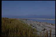 click for enlargement