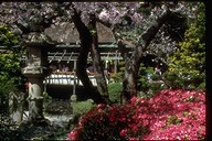San Francisco, Japanese Tea Garden