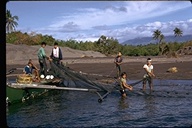 Fishermen pulling in nets onto a boat near a beach, Republic of the Philippines, 1973
