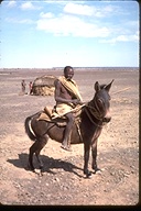 Gabra man on donkey