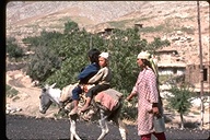 Mother walking with children on a donkey in Samarkand, Uzbekistan, 1976