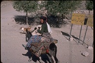 Woman on a donkey near Bamian, Afghanistan