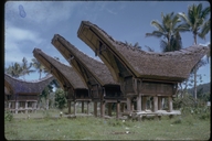 IToraja, Sulawesi (celebes), Indonesia- Rice houses