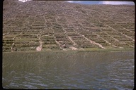 Farmland at Lake Titicaca