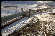 Alaskan pipeline, on Dalton Highway, near ANWR