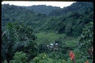 click for enlargement