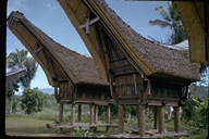 Rice (paddi) houses, Toradja (Celebes), Sulawesi, Indonesia