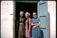 Three women in modern dress