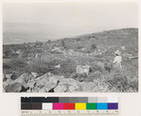 click for enlargement