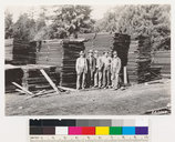 click for enlargement