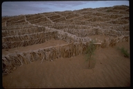 Structures for the control of sand movement in Erfoud, Morocco