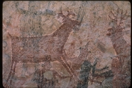 Indian Cave Art, Sierra de San Francisco, Baja, Mexico