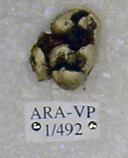 click for enlargement