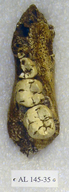 click for enlargement