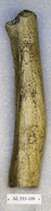 click for enlargement