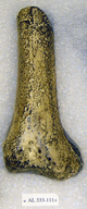 click for enlargement