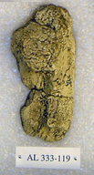 click for enlargement