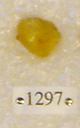 Sivapithecus