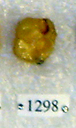 Sivapithecus
