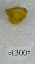 Sivapithecus