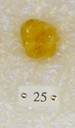 Sivapithecus