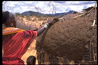 Samburu woman plastering the roof of a dwelling with mud and dung at Samburu N.P., Kenya