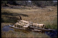 African man transporting reeds with boat, Africa