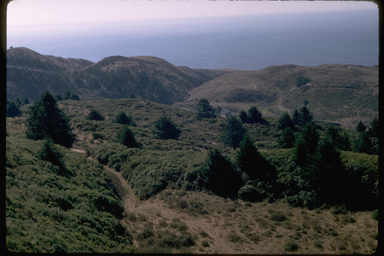 Point Reyes, GGNRA, Marin County, CA Point Reyes, GGNRA, Marin County, CA