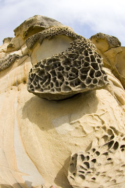Tafoni formation, German Rancho formation Tafoni formation, German Rancho formation