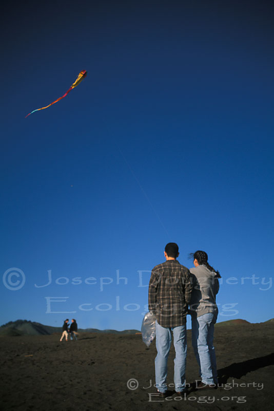 Couple flying a kite at the beach.