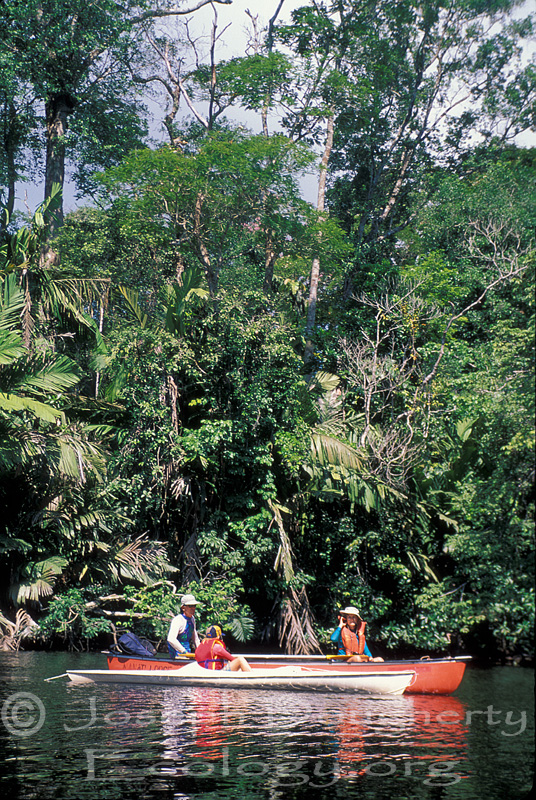 Kayaking on lowland rainforest rivers of Tortuguero National Park in Costa Rica.
