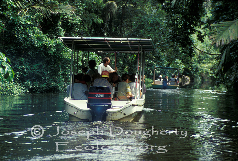 Tour boat with outboard motor, showing tourists the rainforest.