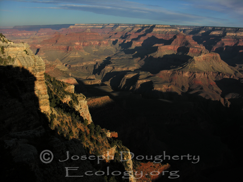 Looking west from Mather Point at dawn, south rim of Grand Canyon National Park.