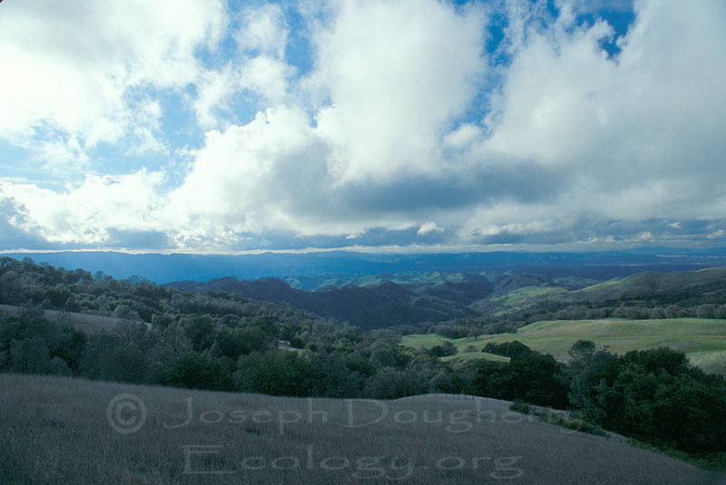 View from the shoulder of Mt. Diablo, beneath clearing storm clouds (Mount Diablo State Park).