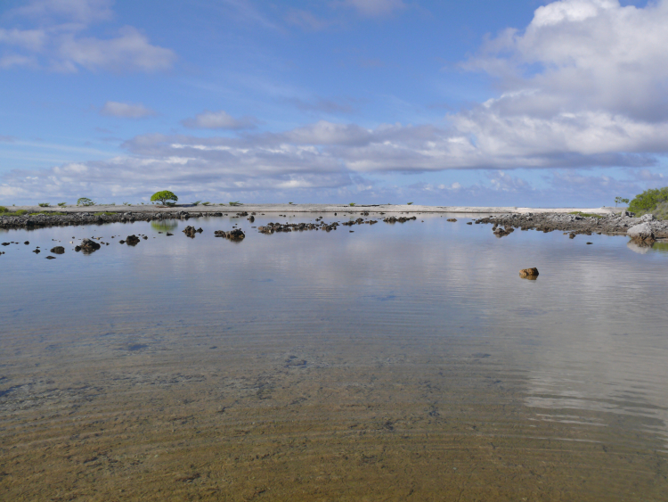 Raraka (Tuamotu, French Polynesia), hoa