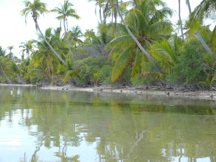 Niau (Tuamotu, French Polynesia),hypersaline and closed lagoon
