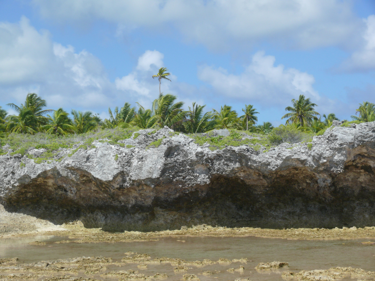 Niau atoll, cliffs, supralittoral and intertidal zone