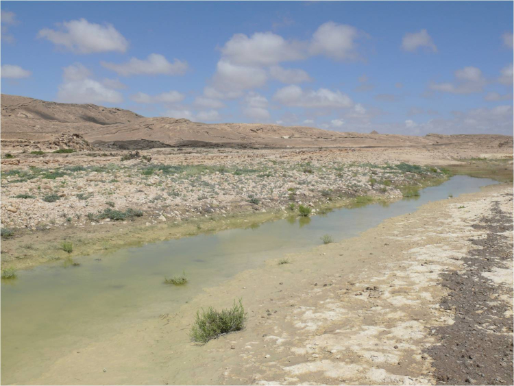 Ayun (Salalah, Oman)