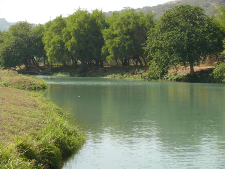 Wadi Dirbat (Salalah, Oman)