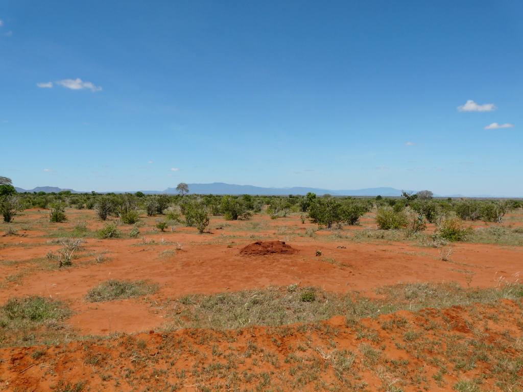 View over plains in Tsavo NP