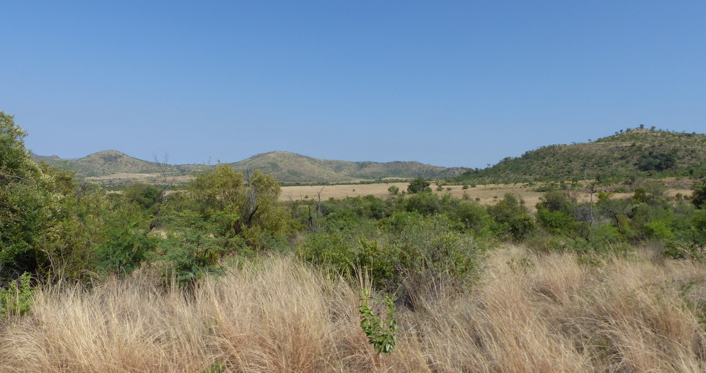 View over Pilanesberg NP