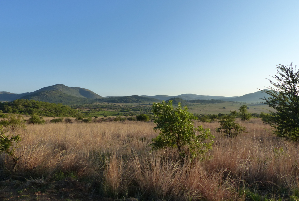 View over Pilanesberg NP