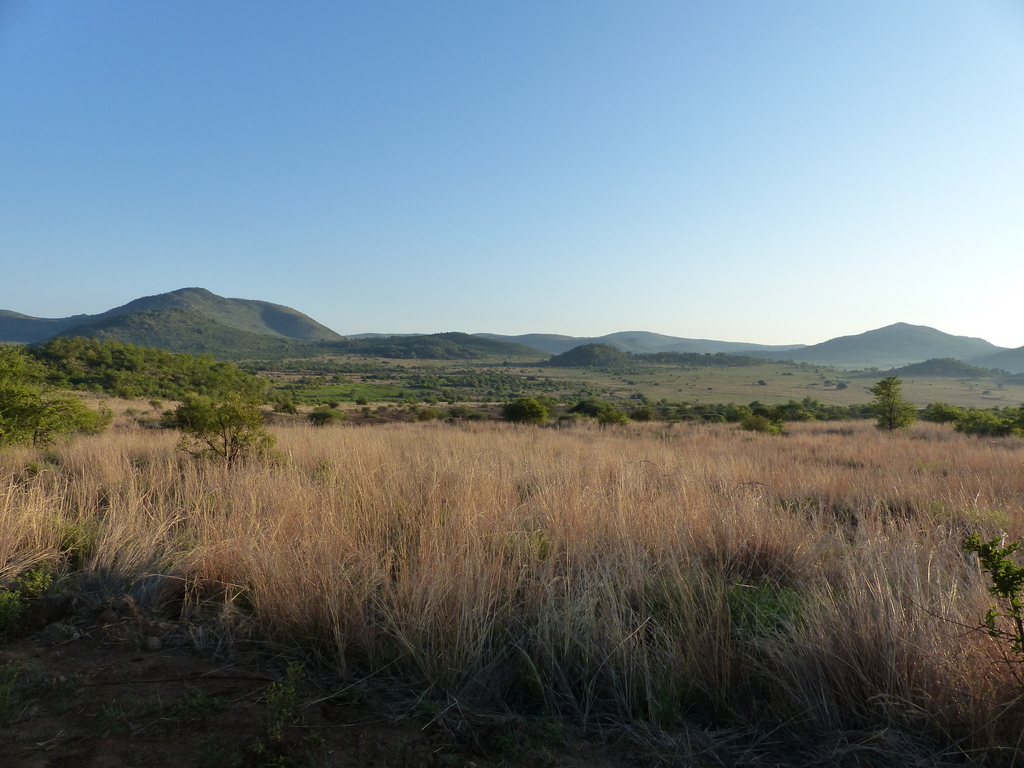 View over Pilanesberg NP