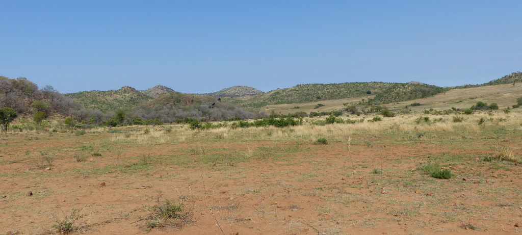 Plains near Tshukudu, Pilanesberg NP