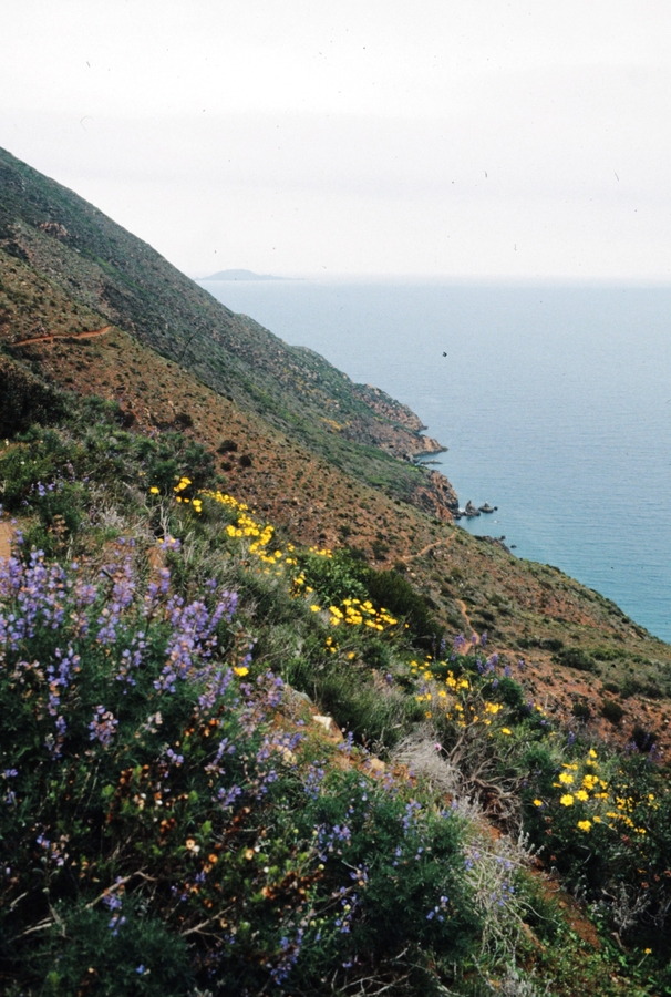 View of Islas Todos Santos from trail