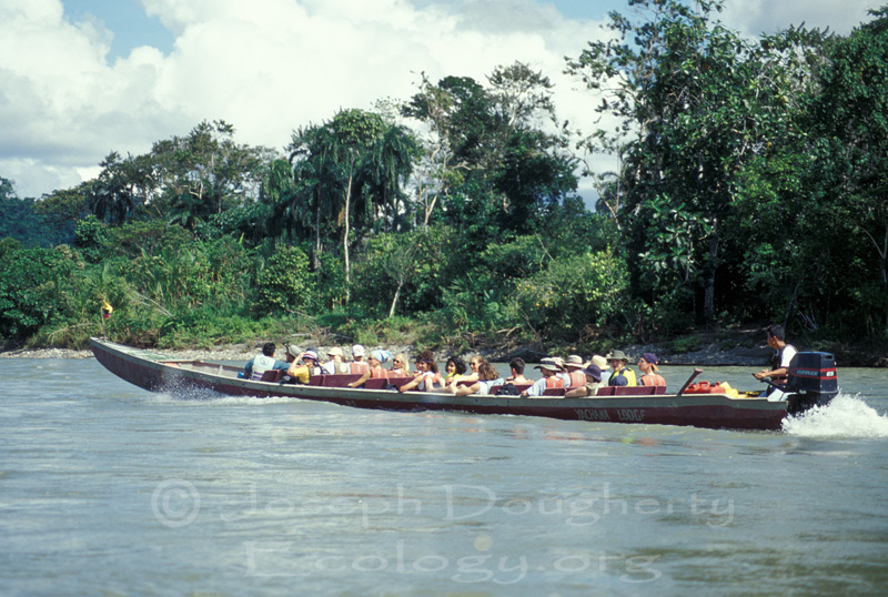 Powered panga taxi traveling down the Rio Napa.