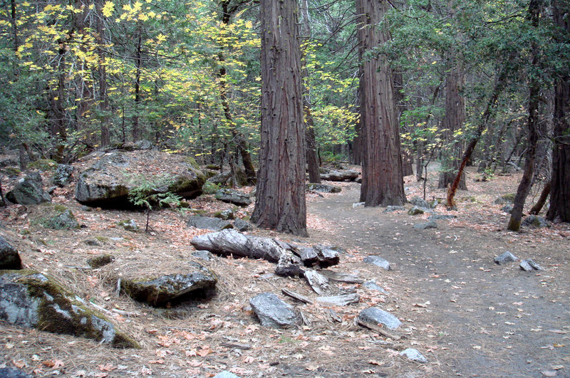 Yosemite Valley in Sierra Nevada